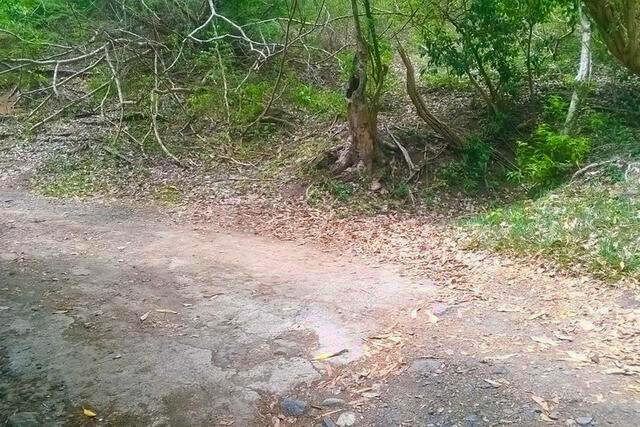 Prospect Lot Prospect, Carriacou, Carriacou