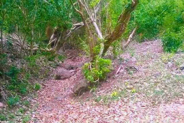 Prospect Lot Prospect, Carriacou, Carriacou