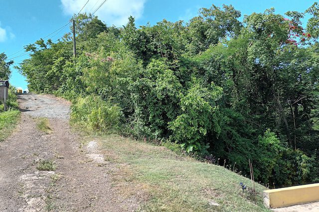 3 Acres Springs Heights Land, Springs, St.George
