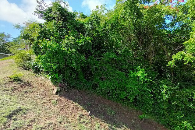 3 Acres Springs Heights Land, Springs, St.George