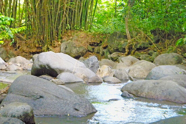 La Pastora Estate Lot La Pastora, Saint David's, St.David