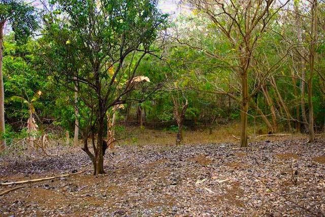 Vacant Land with Dilapidated Building Seamoon Road, Simon, St.Andrew