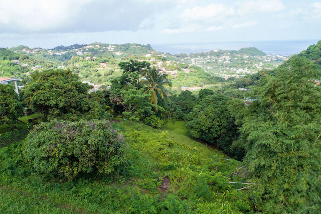 Mt. Parnassus - Lot No. 7 Mt. Parnassus, Mount Parnassus, St.George