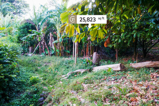 Chantimelle Gardens Chantimelle, Chantimelle, St.Patrick