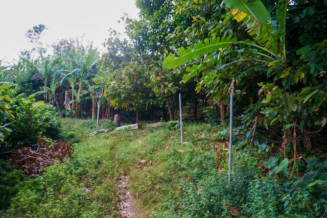 Chantimelle Gardens Chantimelle, Chantimelle, St.Patrick