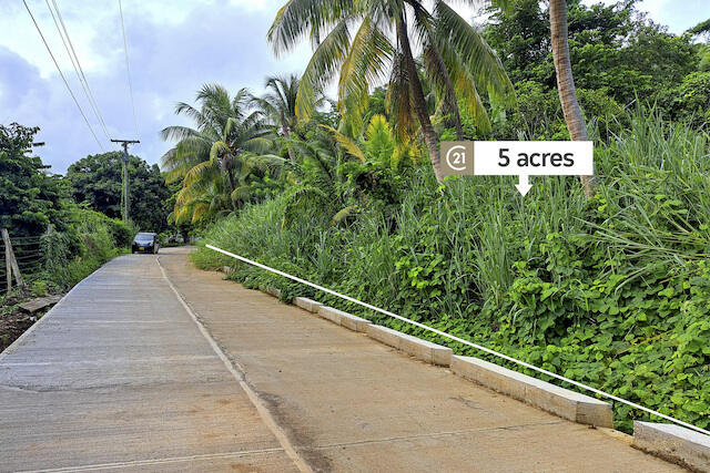 Bacolet Farm Lot Bailies Bacolet, Bailies Bacolet, St.David