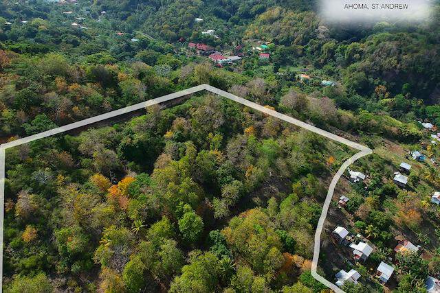 9 Acres - Ahoma Prime Development Tivoli, Tivoli, St.Andrew