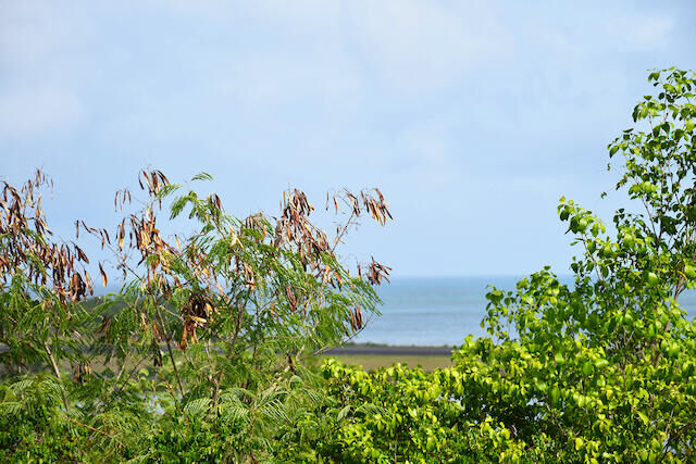 Point Salines Lot Point Salines, Point Salines, St.George