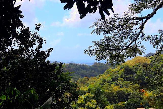 Annandale Estate Annandale, Saint George, St.George