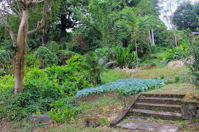 Annandale Estate Annandale, Saint George, St.George