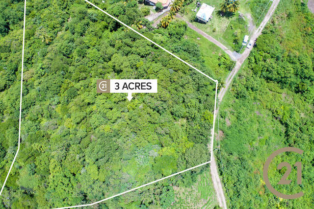 Agriculture Land in Requin Requin, Saint David's, St.David