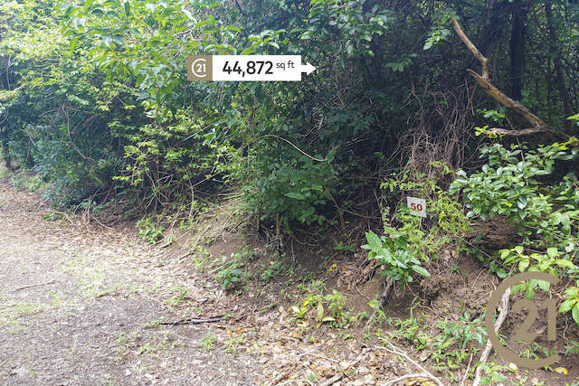 Craigston Estate - Lot No. 50 Craigston, Carriacou, Carriacou