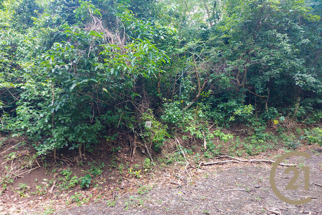 Craigston Estate - Lot No. 50 Craigston, Carriacou, Carriacou