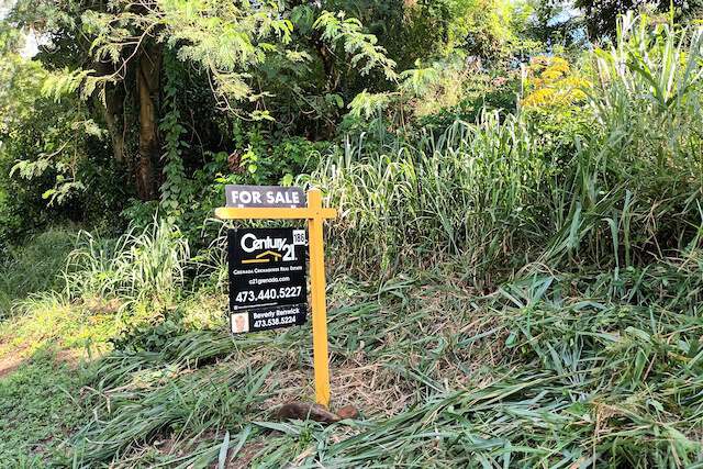 Grand Bacolet Estate Main Road Land, Grand Bacolet, St.Andrew