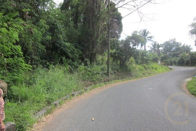 Grand Bacolet Estate Main Road Land, Grand Bacolet, St.Andrew