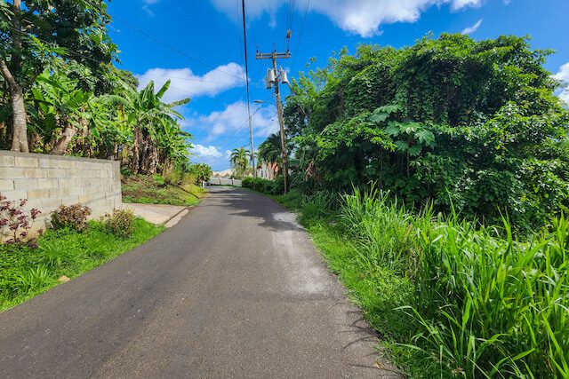 Old Westerhall - Roadside Lot Old Westerhall, Old Westerhall, St.David