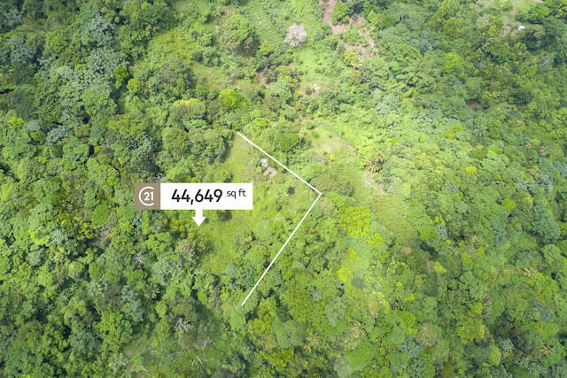 Mamma Cannes - Agriculture Land, Mamma Cannes, St.Andrew