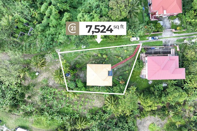 Bon Dehut De Famille Samaritan Estate, Union, St.Patrick