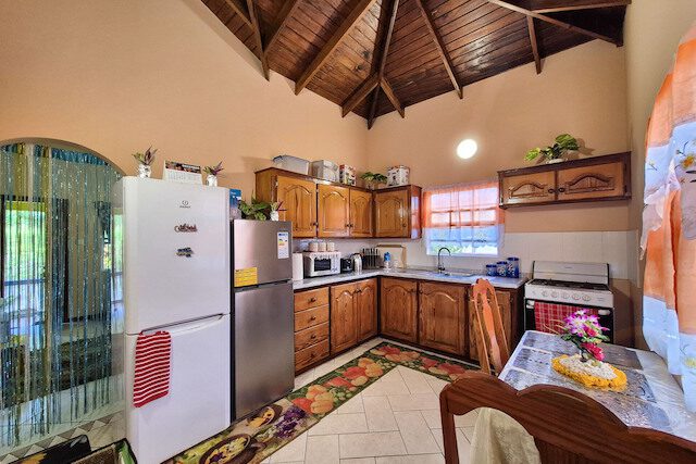 Bon Dehut De Famille Samaritan Estate, Union, St.Patrick