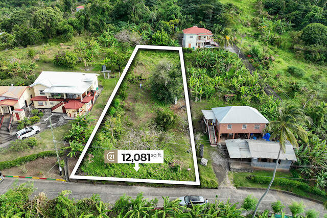 La Fortune Plum Garden, La Fortune, St.Patrick