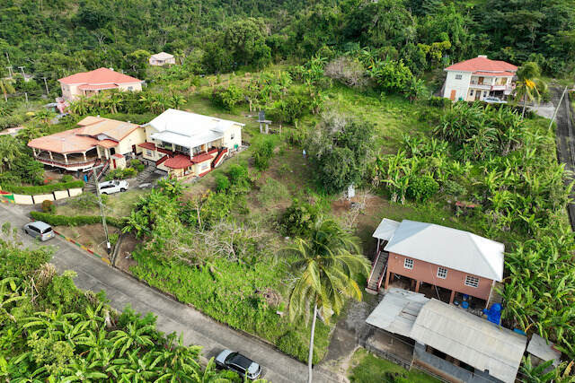 La Fortune Plum Garden, La Fortune, St.Patrick