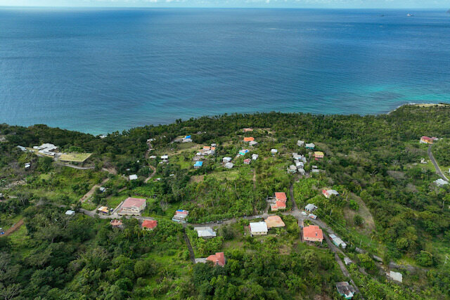 La Fortune Plum Garden, La Fortune, St.Patrick