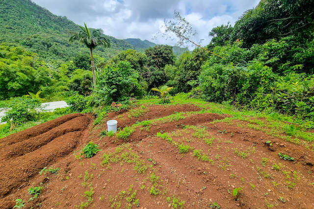 Annandale Farm Land, Saint George, St.George