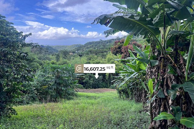 Laura Multi-use Lot Laura, Laura, St.David