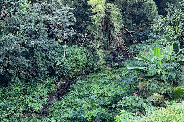 Laura Multi-use Lot Laura, Laura, St.David