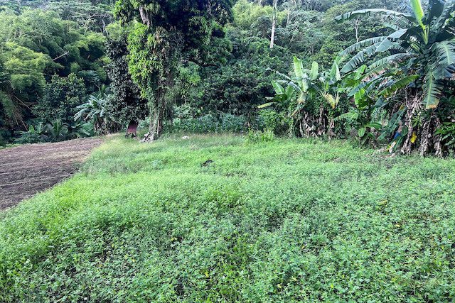 Laura Multi-use Lot Laura, Laura, St.David