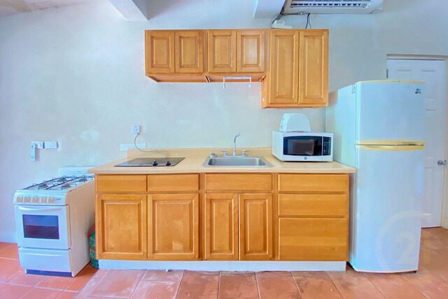 Silver Springs 1BD (SGU Bus Route), Lance Aux Epines, St.George