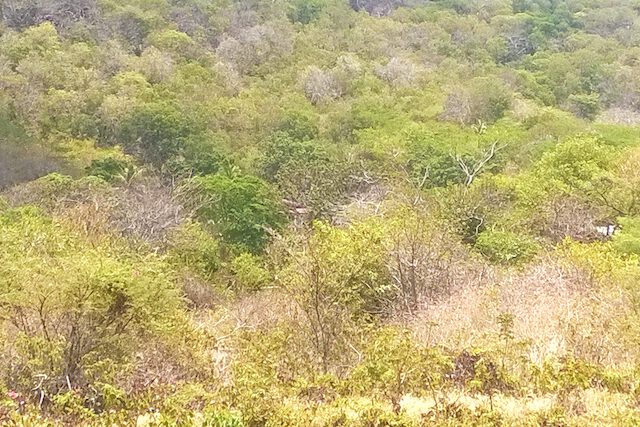 Beausejour Lot Carriacou, Carriacou, Carriacou