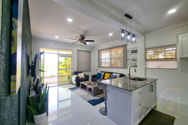 VP Apartments Unit F, Lance Aux Epines, St.George