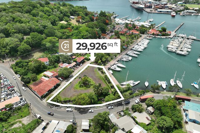 PRIME DEVELOPMENT LOTS PORT LOUIS - Lot A1 Kirani James Boulevard, Port Louis, St.George