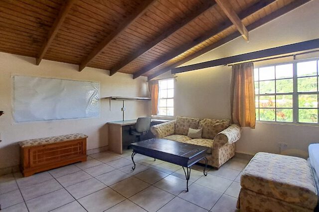The Marina Lofts (Minutes to SGU) - Royal Suites True Blue, True Blue, St.George